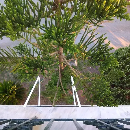 Apanemo Apartmán Loutra Edipsou (Evia)